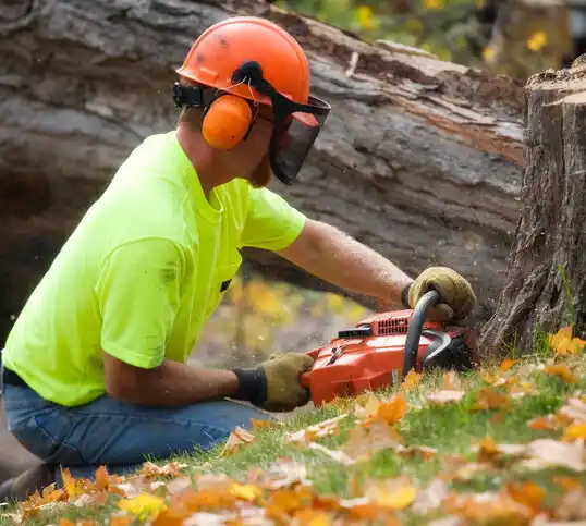 tree services Madison Lake